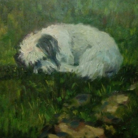 Милашка Дуся