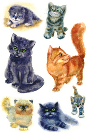 зарисовки котиков