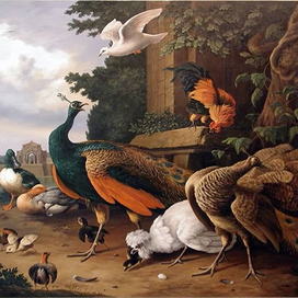 Птицы в парке.