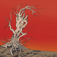 Березовый сок