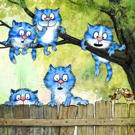 Не может быть!..