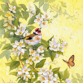 Солнечное утро с запахом жасмина