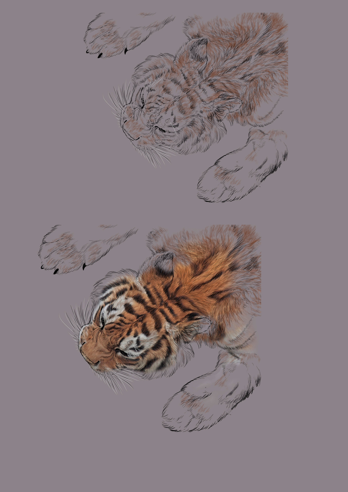 Нач. рис.к -ПРИТЧЕ...