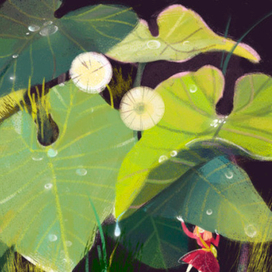 из страны лилипутов