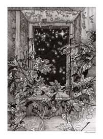 в раме окна