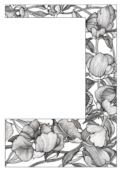 Оборочная иллюстрация " Пионы"