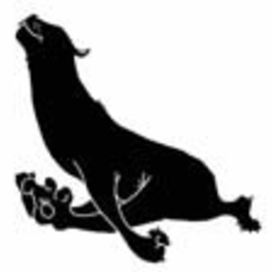 бобтейль в прыжке