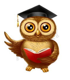 Разработка персонажа "Умного совенка" 