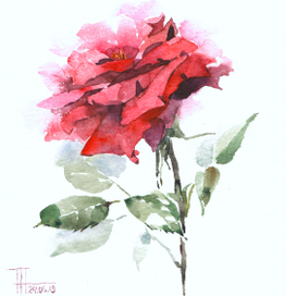 Красная роза