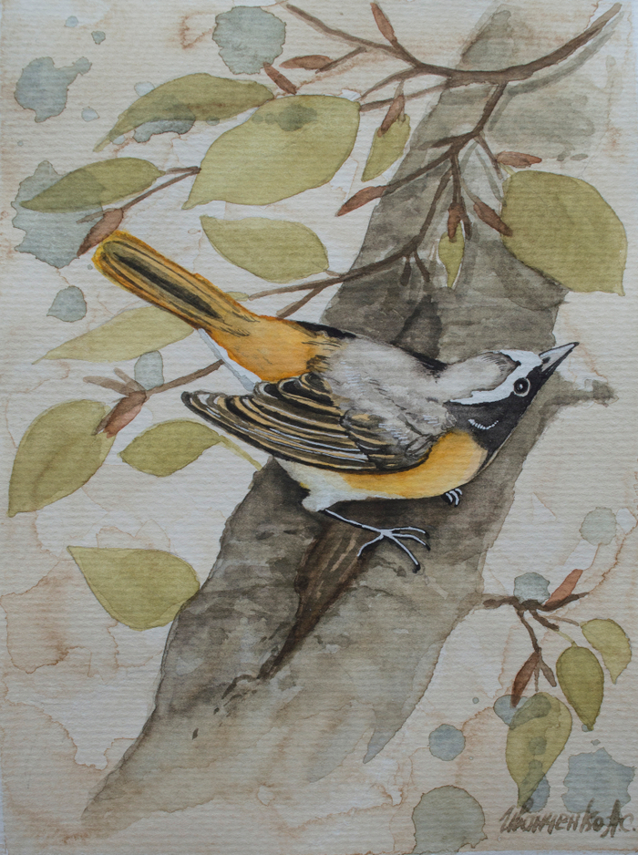 Оранжевая птаха