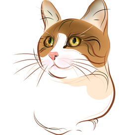 Рыжая кошка