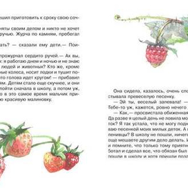 серия времена года: Лето