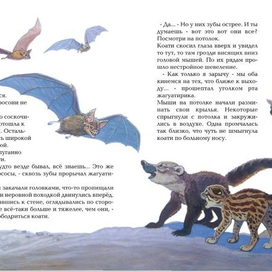 коати и жагуатирика 13