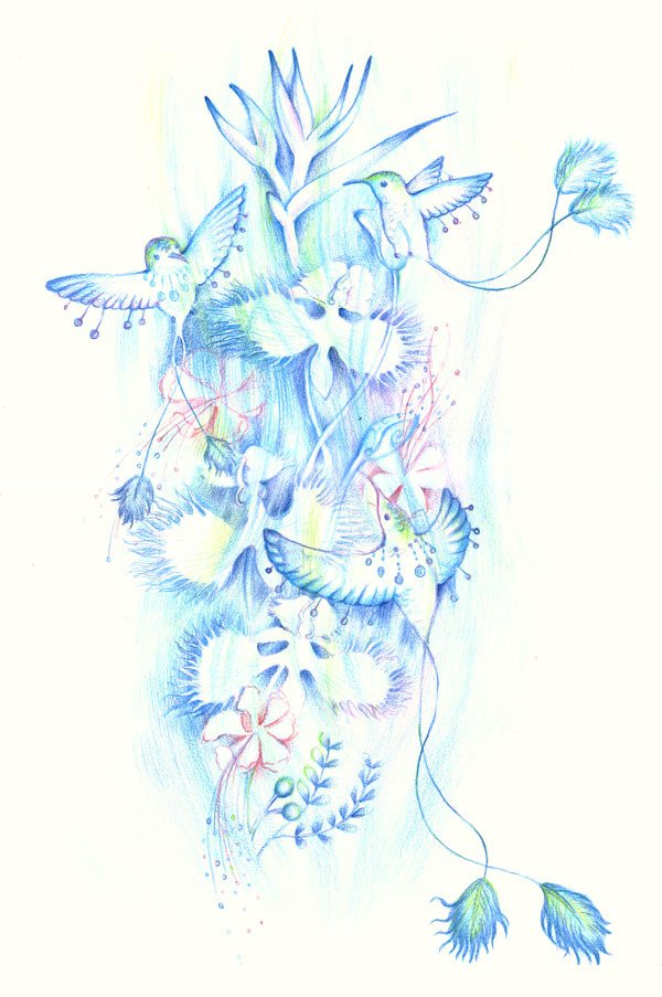 Цветы и птицы