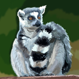 Lemur