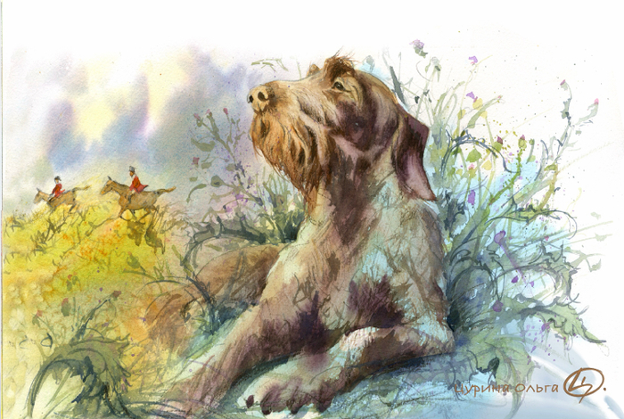 Собака сбежала 