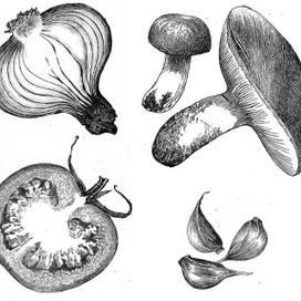 лук, помидор, грибы и чеснок