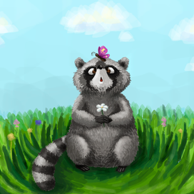 Енот и ромашка