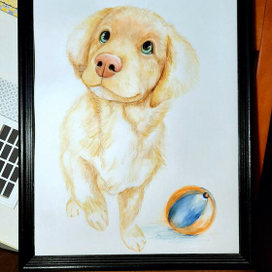 Детские иллюстрации 