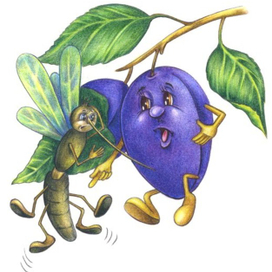 Слива и комар