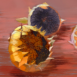 Подсолнухи