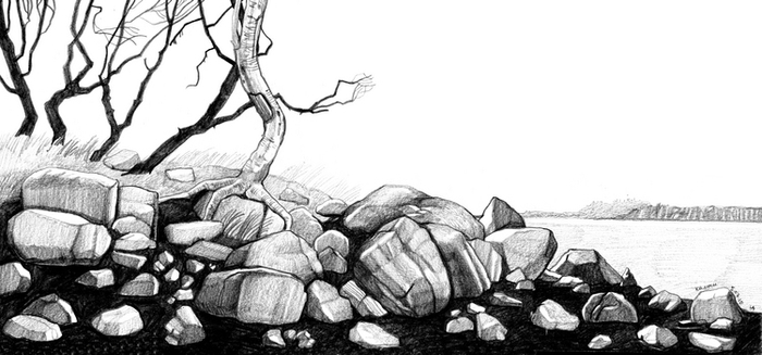 Камни. Соловки.