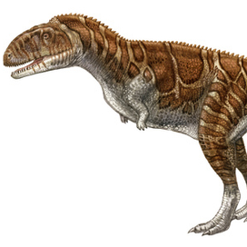 Indosuchus