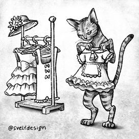 Жизнь кошки