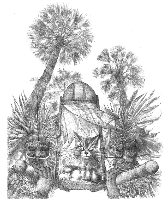 Кот и папуасы