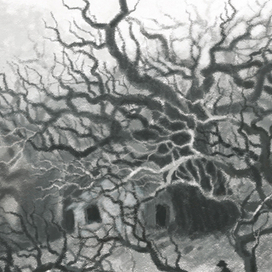 цвет из иных миров