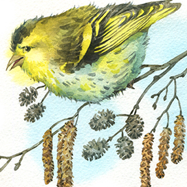 Люди и живность