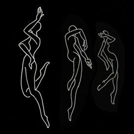 Ночные бабочки