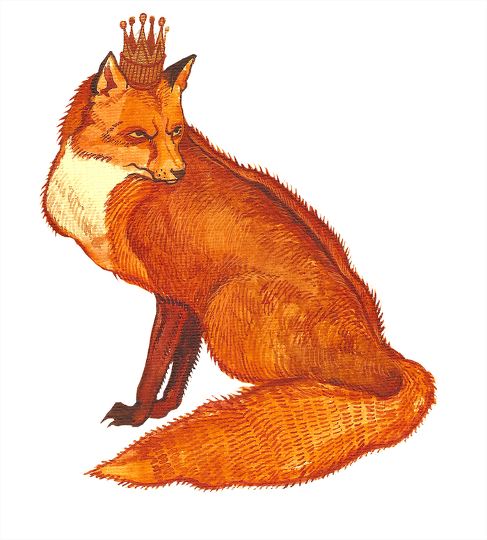 суровый лис