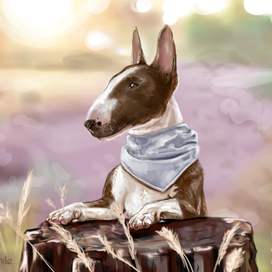 Бультерьер