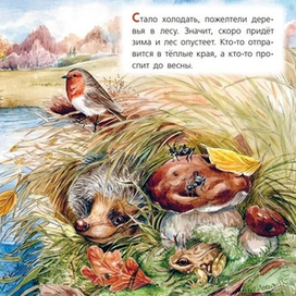 Как зимуют звери