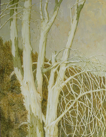 обнаженное дерево