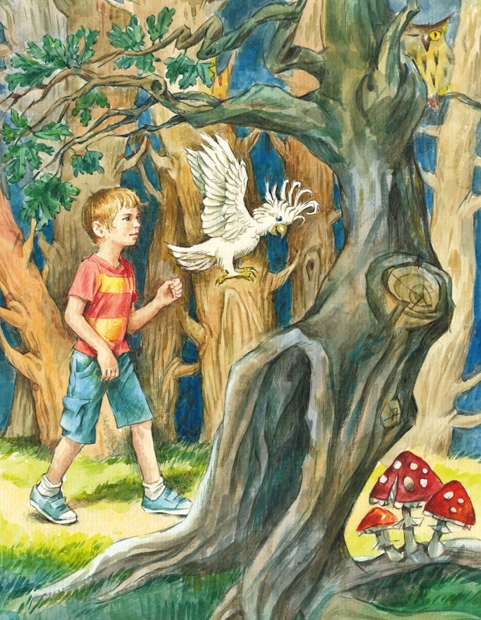 На лесных тропинках.