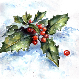 Остролист. Рождество.