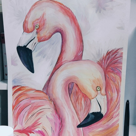 Фламинго
