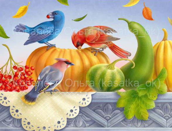Птицы и тыквы