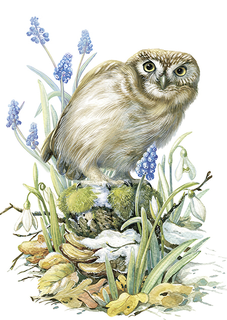 Ку-ку! Весна?