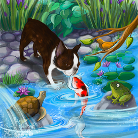 Приключения собаки