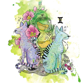 Знаки зодиака Близнецы