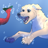 Обложка для проекта