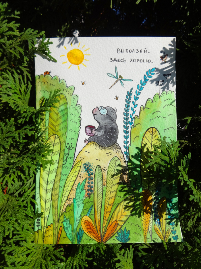 выползай, здесь хорошо