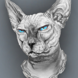 Sphynx cat