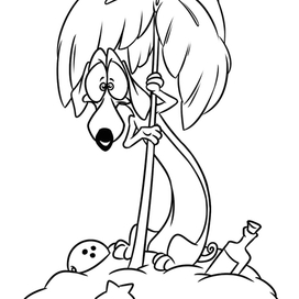 Такса Робинзон