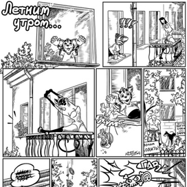 Котька. Летним утром