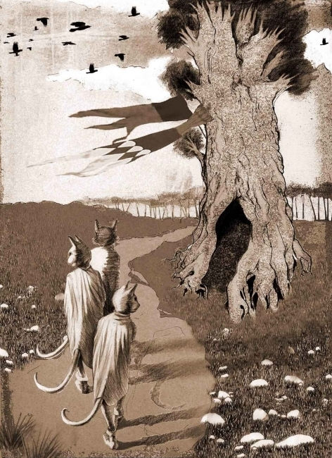 Иллюстрация