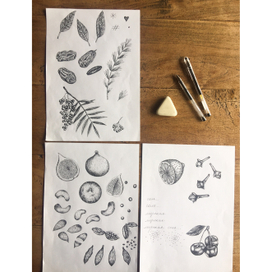 Иллюстрация ботаника для упаковки продукта